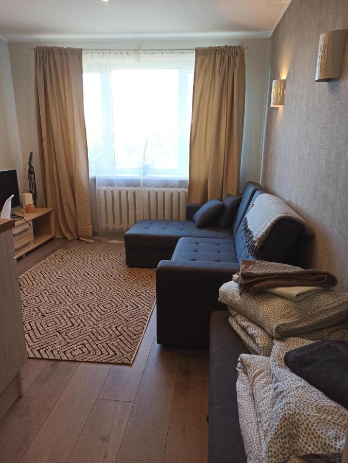 Cozy And Minimalistic Scandinavian Style Home. Apartment Tallinn